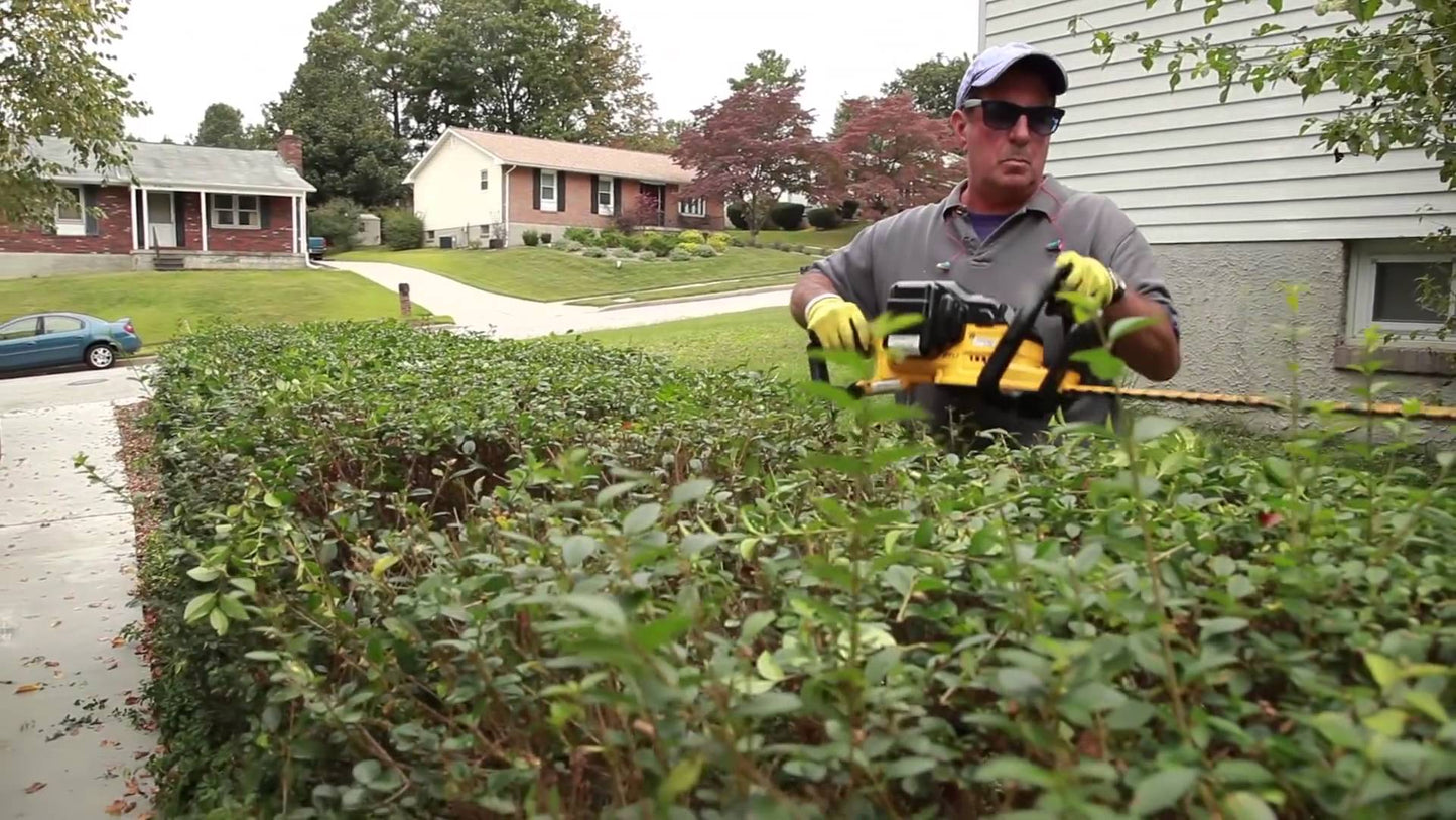 DeWalt Schere DCM563P1-QW 18 V 55 cm Schnittlänge Beidseitig