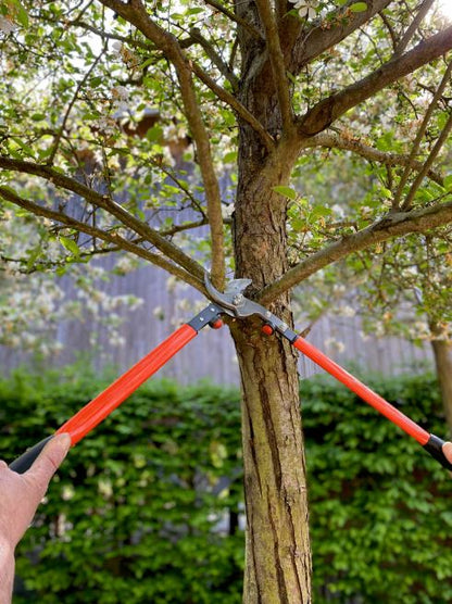 Bahco Astschere P16-60-F Doppelgriff Obstbäume Weinstöcke